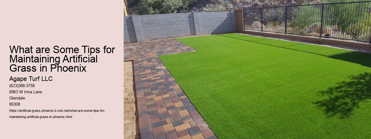 What are Some Tips for Maintaining Artificial Grass in Phoenix