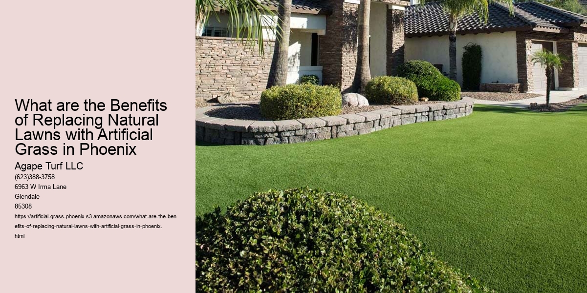 What are the Benefits of Replacing Natural Lawns with Artificial Grass in Phoenix
