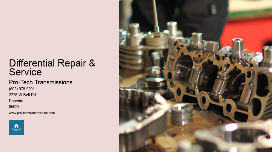 Differential Repair & Service